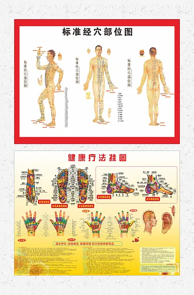 人体标准经穴部位图-图巨人