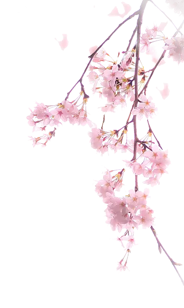 花卉图案背景-图巨人