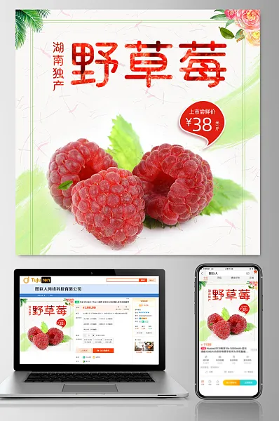 湖南野草莓水果电商主图-图巨人