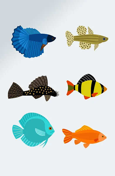海洋生物插画鱼透明素材-图巨人