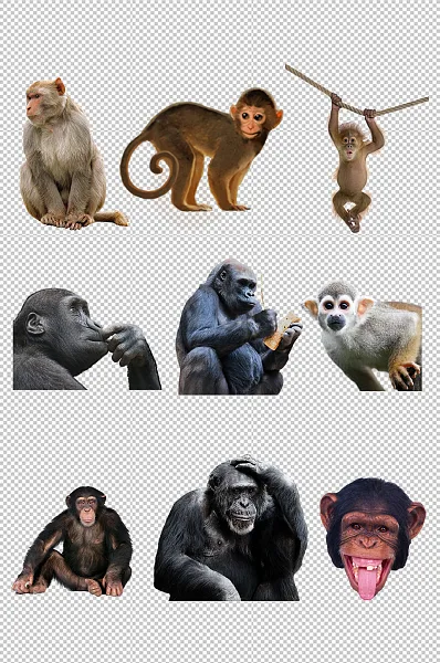 可爱猴子动物免扣素材-图巨人