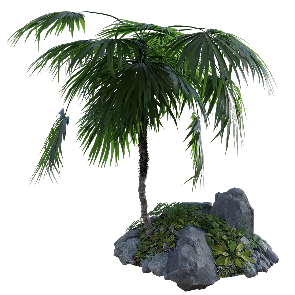 热带 棕榈 树 岩石 草 夏天 自然 绿色 天堂 岛 植物-图巨人